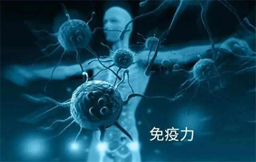 图片细节